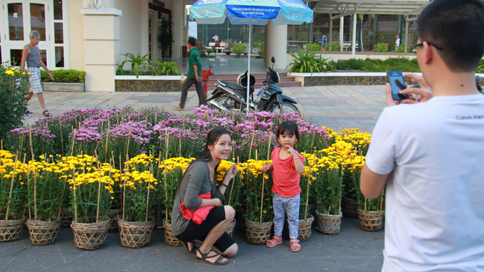 Rực rỡ sắc màu đường hoa xuân Nha Trang
